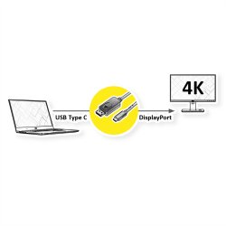 ROLINE Type C - DisplayPort Cable, M/M, 1 m