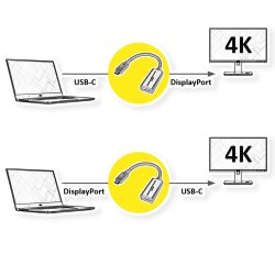ROLINE Type C - DisplayPort AdapterCable, M/F, Bi-rectional, 0.2 m