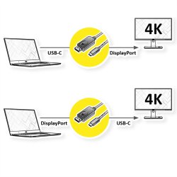 ROLINE Type C - DisplayPort Cable, M/M, 2 m