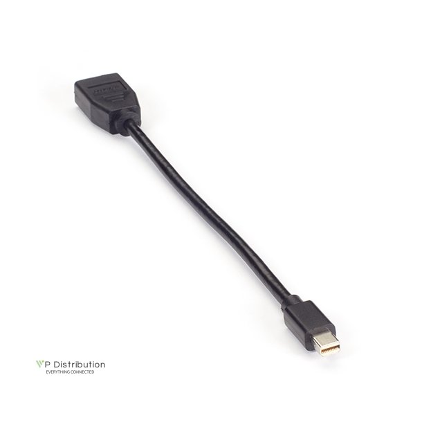 Black Box Mini-Displayport 1.2 Male To Displayport 1.2 Female Adapter