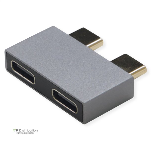 ROLINE USB 3.2 Gen 2 Adapter, 2x USB Typ C - 2x Typ C, ST/BU, silberfarben