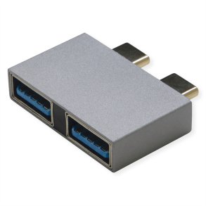 ROLINE USB 3.2 Gen 2 Adapter, 2x USB Typ C - 2x Typ A, ST/BU, silberfarben