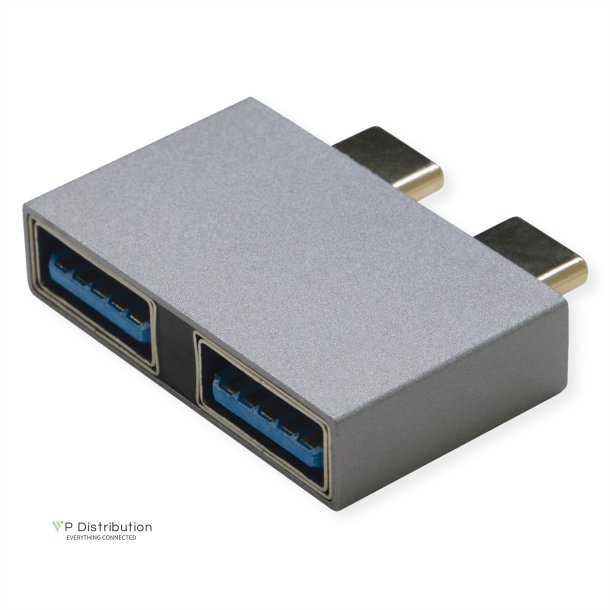 ROLINE USB 3.2 Gen 2 Adapter, 2x USB Typ C - 2x Typ A, ST/BU, silberfarben