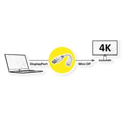 ROLINE DisplayPort Adapter, DP M - Mini DP F