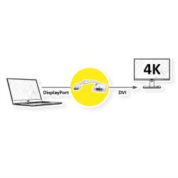 ROLINE 4K DisplayPort-DVI Adapter, DP M - DVI F