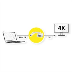 ROLINE 4K Mini DisplayPort-DVI Adapter, MiniDP M - DVI F