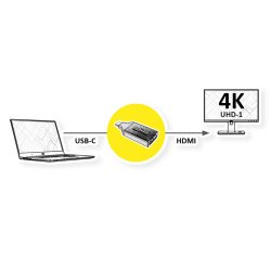 ROLINE GOLD Type C - HDMI Adapter, M/F
