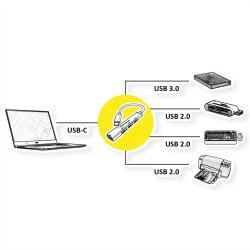 ROLINE USB 3.2 Gen 1 Hub, 4 Ports, Type C Connection Cable