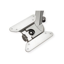 ROLINE Dual LCD Monitor Stand Pneumatic, Desk Clamp, Pivot, 2 Joints