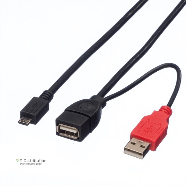 ROLINE USB2.0 Y Cable, 2x Type A M/F - 1x MicroB M, 1m