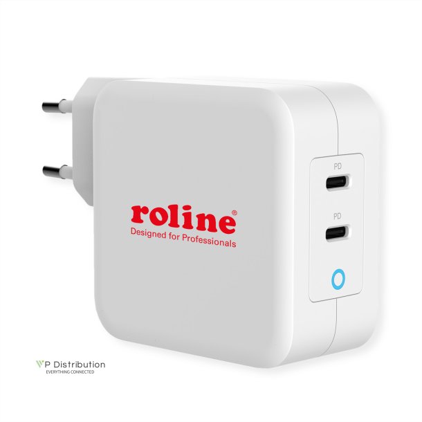 ROLINE USB Wall Charger Euro Plug, 2 Ports, 2x C (PD), 100W, GaN