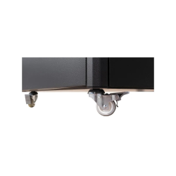 Lenkrollen fr Basic Plus Wandgehuse 80 kg