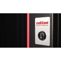 ROLINE 19-inch wall-mounted housing Pro 16 U, 600x450 WxD black