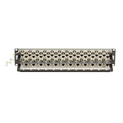 Black Box Cat6A 48 Port Feedthru Panel 2U Shielded, Staggered