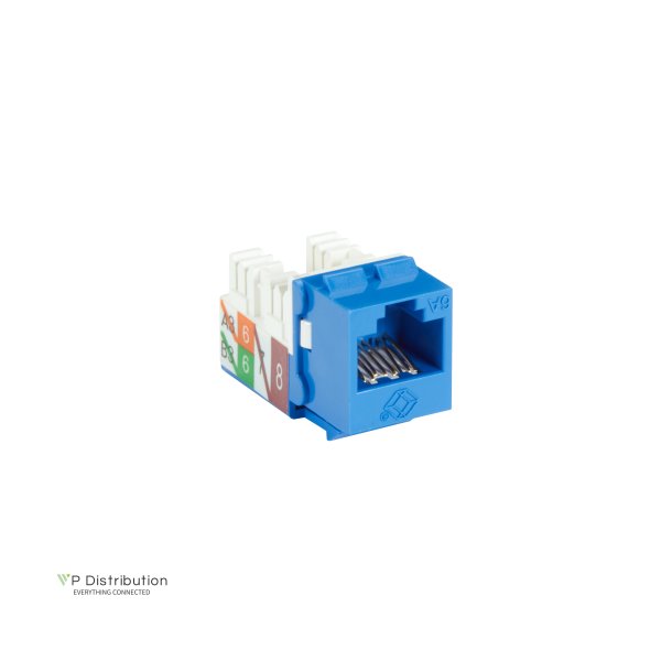 Black Box Cat6A Keystone Jack, Blue