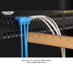 Black Box CAT6 90 DWN TO STR PATCH CABLE BLUE 3FT