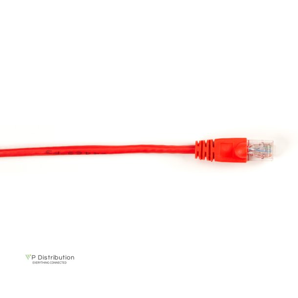 Black Box BBXCONN CAT6 PATCH CBL-UTP PVC SNAGLESS RED 4 FT