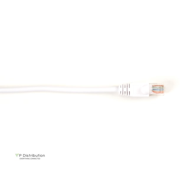 Black Box BBXCONN CAT6 PATCH CBL-UTP PVC SNAGLESS WHITE 2 FT