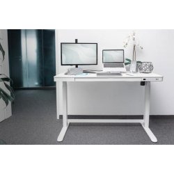 Digitus Electric height-adjustable Desk, 120x60x12cm top 50kg load, USB-charging ports, white