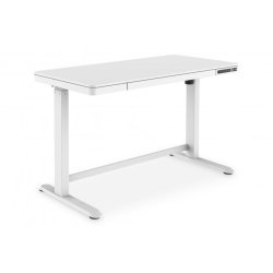 Digitus Electric height-adjustable Desk, 120x60x12cm top 50kg load, USB-charging ports, white