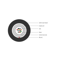 FO A-I-DQ(ZN)BH 12E9/125, SM, OS2, 12 fibers Indoor/Outdoor, LSZH, Dca, black, 100m