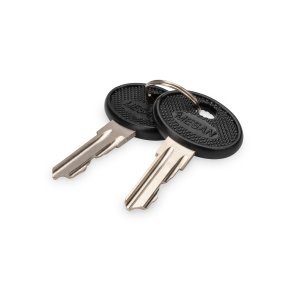 Digitus Key for WM SOHO PRO, DN-DVR-1 2 pieces, type 4444