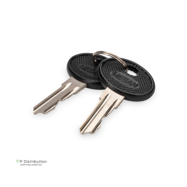 Digitus Key for WM SOHO PRO, DN-DVR-1 2 pieces, type 4444