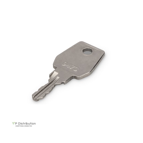 Digitus Key for NW a. SRV Unique a. Dynamic, WM Slim 1 piece, type 9473