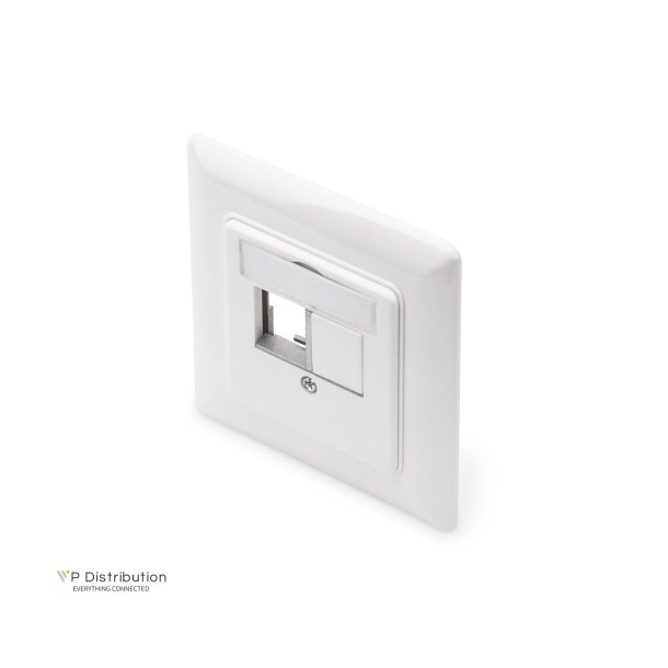 Face plate for Keystone Modules, straight 50x50 central plate, 80x80 frame, 2xkeystone