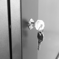 19" Wall Cabinet Flat Pack, W 600mm D 450mm, 9U, Glass Door with Lock, max. capacity 60kg. 