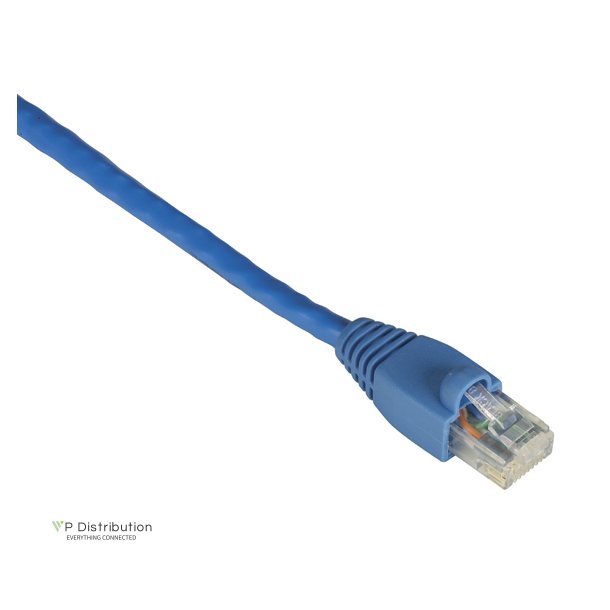 Black Box CAT6 SNAGLESS BLUE 2FT 550-MHZ PATCH CABLE