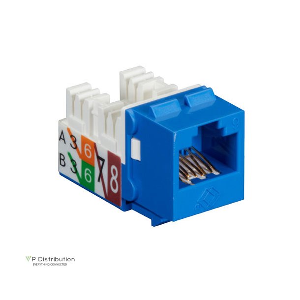 Black Box GIGATRUE2 CAT6 JACK 25 PACK BLUE