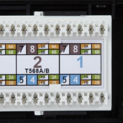 Black Box GIGATRUE CAT6 PATCH PANEL - 1U, UNSHIELDED, 24-PORT