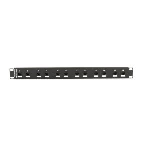 Black Box CAT6 PROTECTED PANEL 12 PORT 100/1000BASE-T