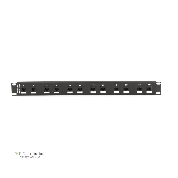 Black Box CAT6 PROTECTED PANEL 12 PORT 100/1000BASE-T