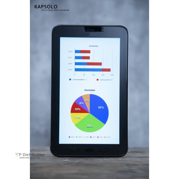 KAPSOLO 2H Antimicrobial Screen Protection for Chromebook Tab 10