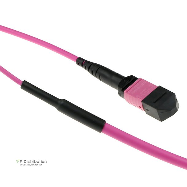 ACT 80 meter Multimode 50/125 OM4(OM3) polarity B fiber trunk cable with MTP/MPO female connectors