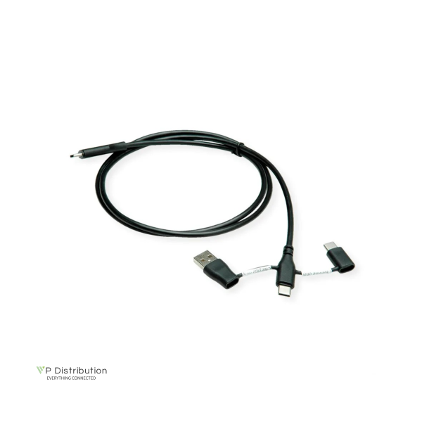 ROLINE 2-in-1 USB2.0  C Cable, M/M, Data Blocker, USB A+C