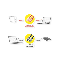 ROLINE GOLD USB4 Gen3x2 Cable, 40Gbit/s, C-C, M/M, 100W, 2m