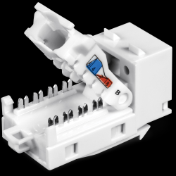 Trendnet 50 Pack Cat6 RJ-45 Keystone Jack